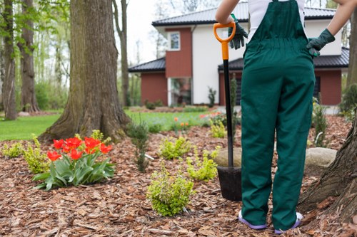 Operatives performing trained hedge trimming techniques on a residential hedge