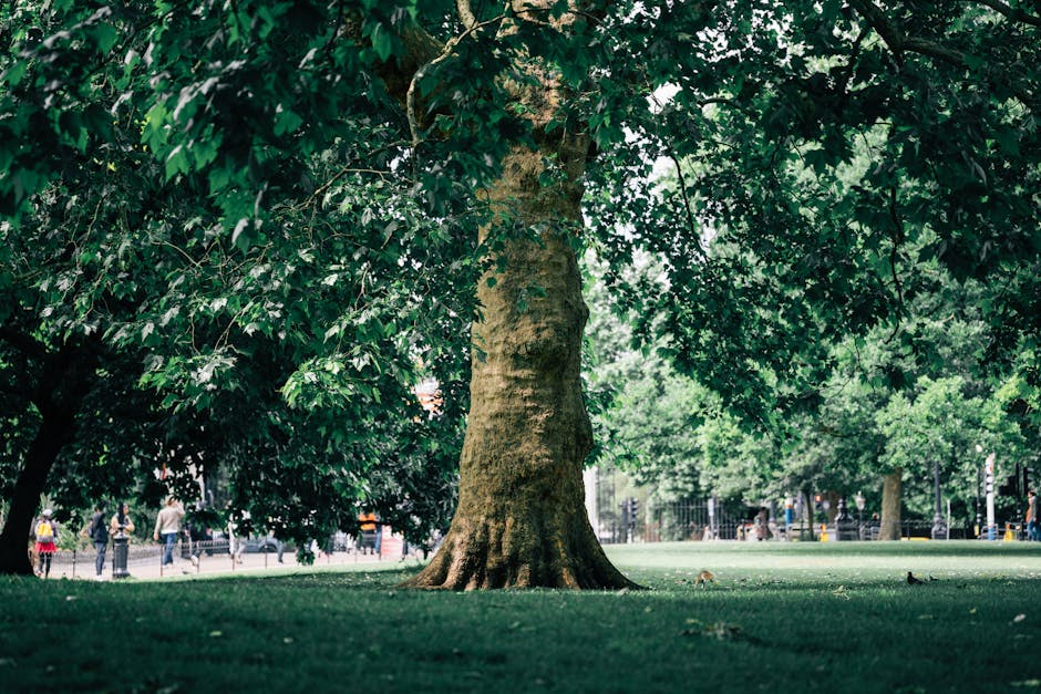 A fallen large tree with a thick trunk and sprawling branches has collapsed across a garden, with sections of the trunk and limbs snapped and scattered on the ground. The tree's bark is rough and text